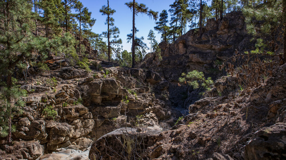 die gewundene Schlucht des Barranco de las Hiedras