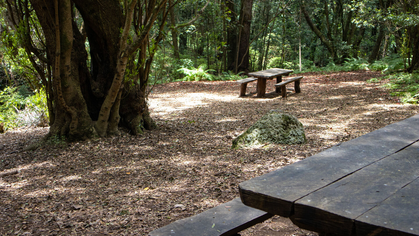 der Rast- und Picknickplatz bei der Ermita de Lourdes