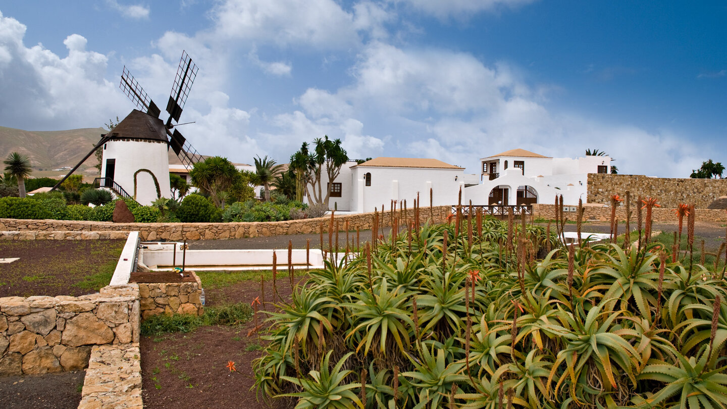 die Mühle Molino de Antigua auf Fuerteventura mit dem Museumsgebäude