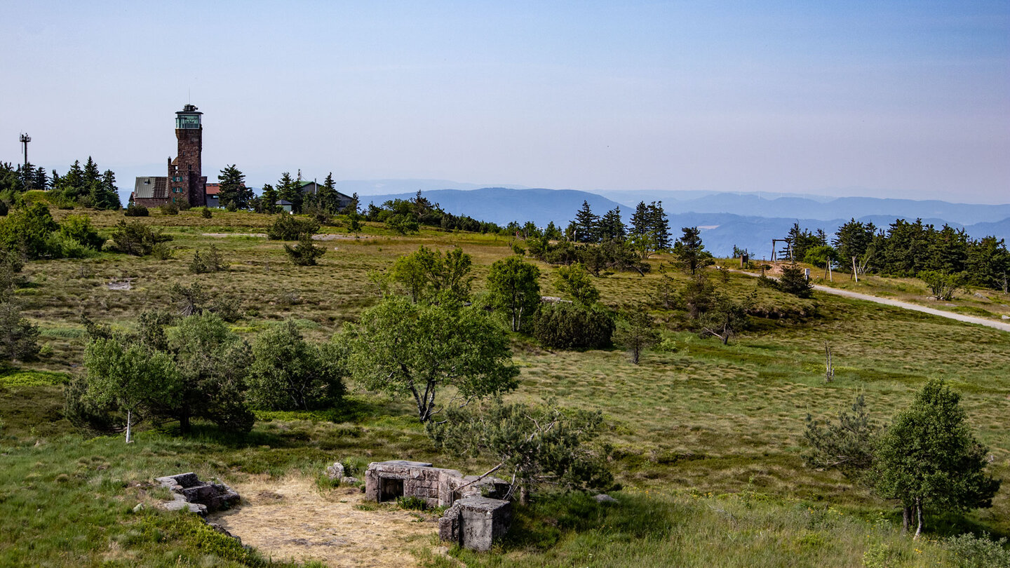 Blick über das Hochplateau der Hornisgrinde