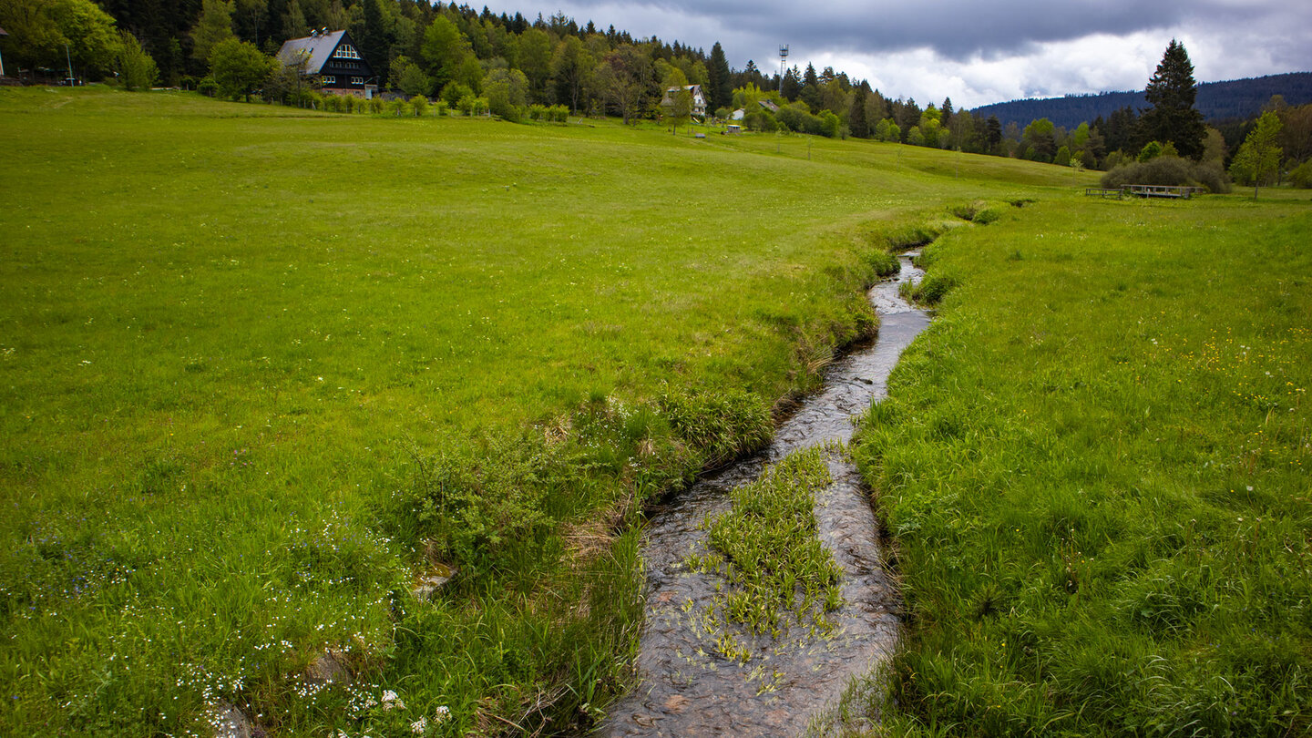 der Schwarzenbach durchfließt Herrenwies