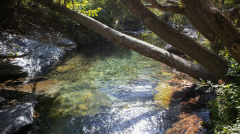 der Rio Genil  mit seinem grün glitzernden Wasser - Sierra Nevada in Andalusien