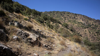 Weg vom Cortijo del Hornillo nahe der Vereda de la Estrella - Andalusien in Spanien