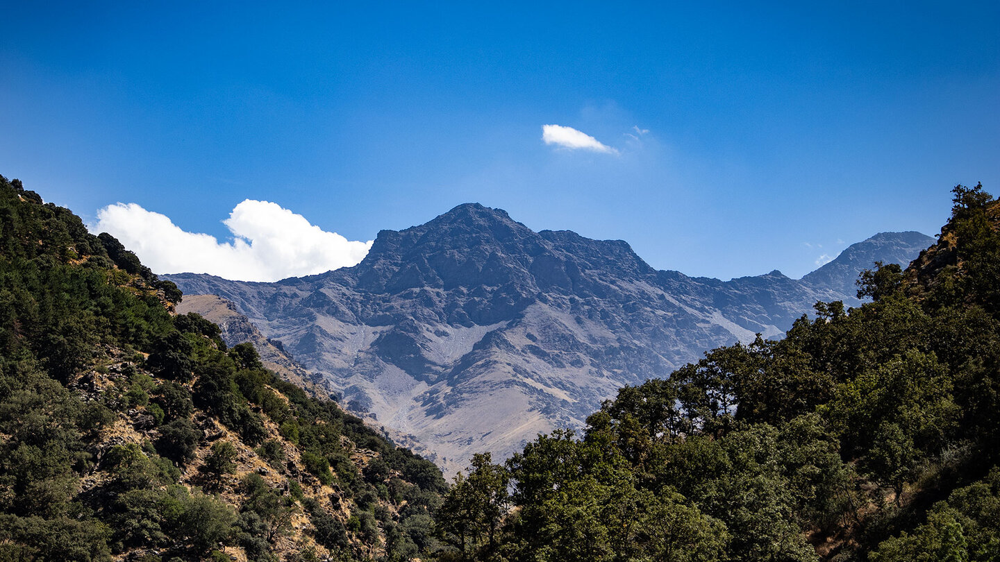 Blick vom Wanderweg Vereda de la Estrella auf den Berg Alcazaba