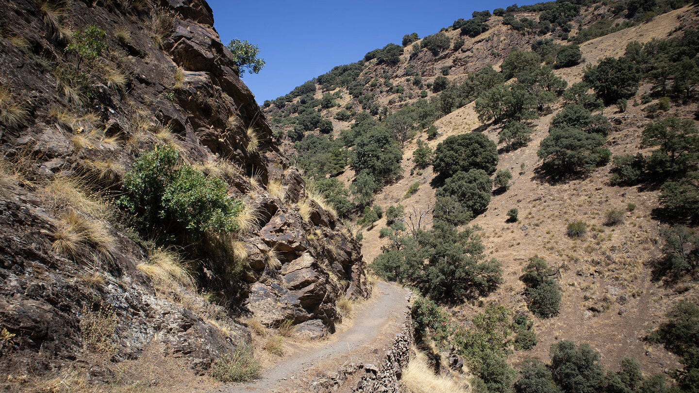 Am Wanderweg Vereda de la Estrella