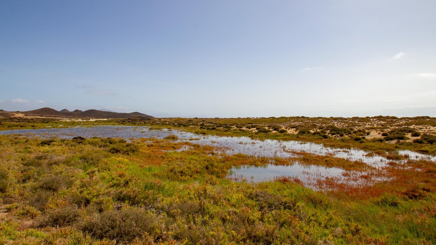 idyllische Lagune entlang der Rundwanderung um die Insel Los Lobos