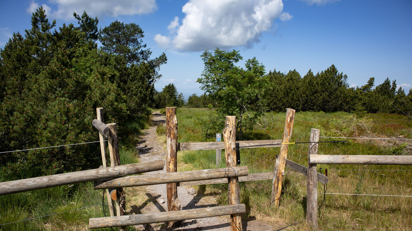 Querung eines Viehgatters entlang der Wanderroute