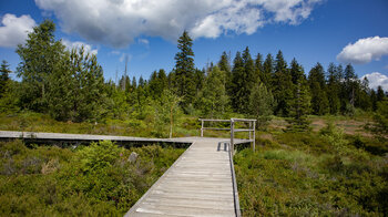 die Höhentour auf dem Lotharpfad