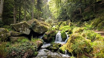 obere Abschnitt der Gertelbach Wasserfälle