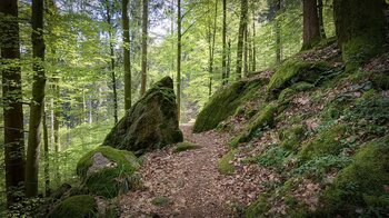 Paradiesweg zum Eulenfelsen