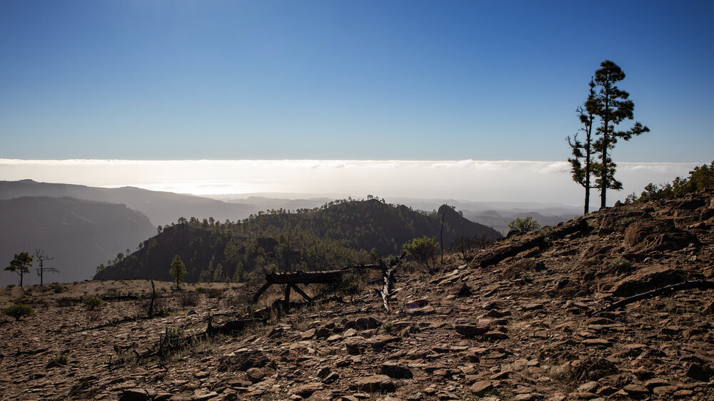 Ausblick auf Montaña de los Cardones vom Hochplateau des Tauro