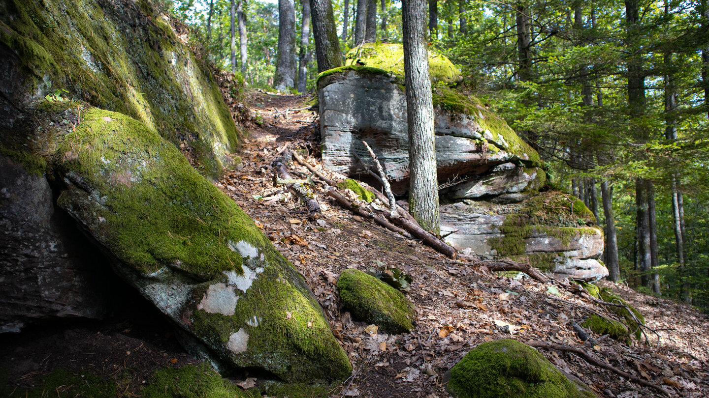 Wanderung entlang des Sandsteinriffs am Rumberg