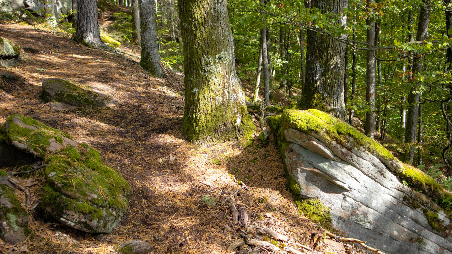 Wanderpfad zwischen den Rumbachtürmen