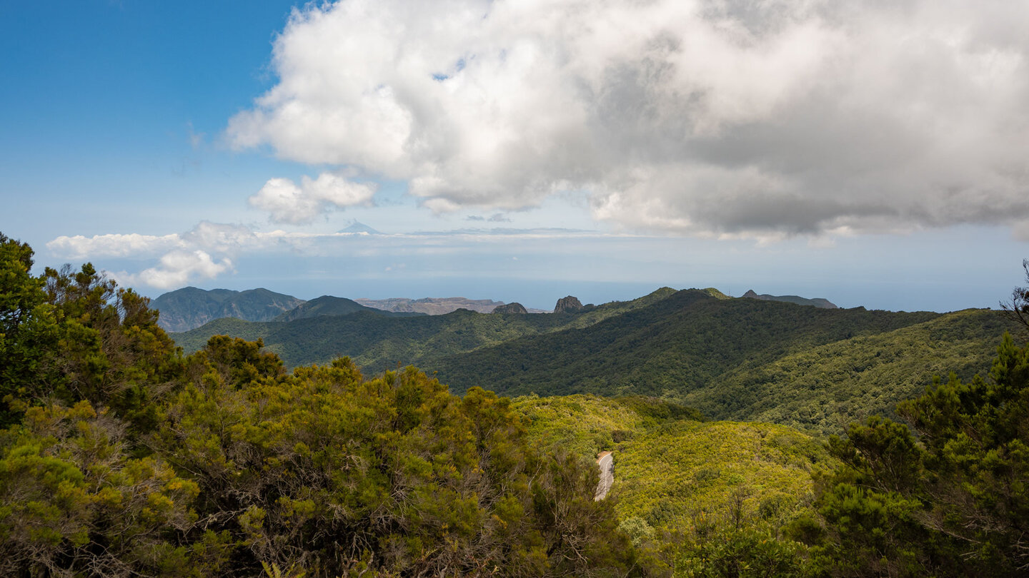 Blick vom unteren Aussichtspunkt über den Lorbeerwald auf die Roques