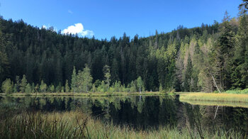 die Baiersbronner Genießertour führt über den malerischen Buhlbachsee