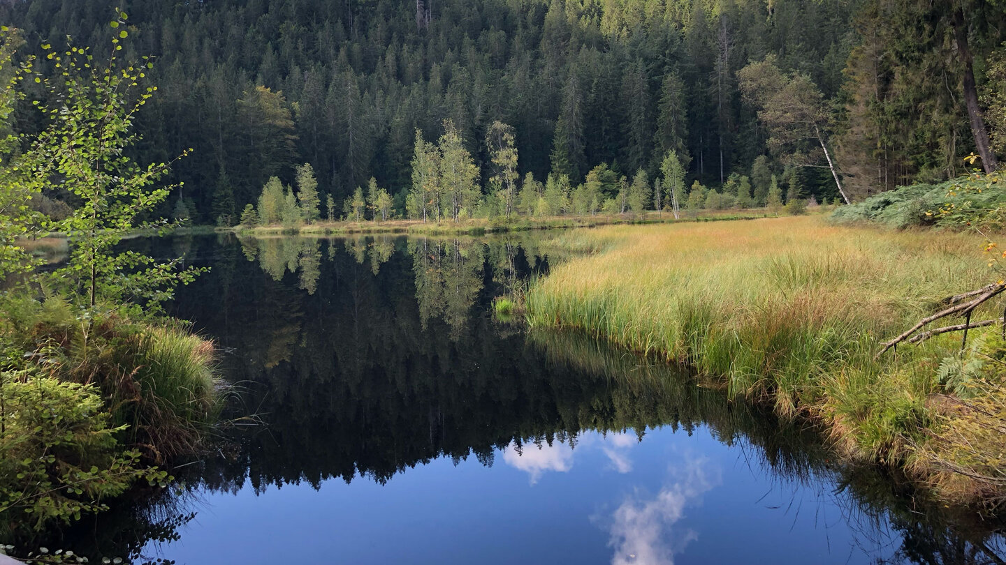 der Buhlbachsee ist einer der Karseen des Nordschwarzwalds