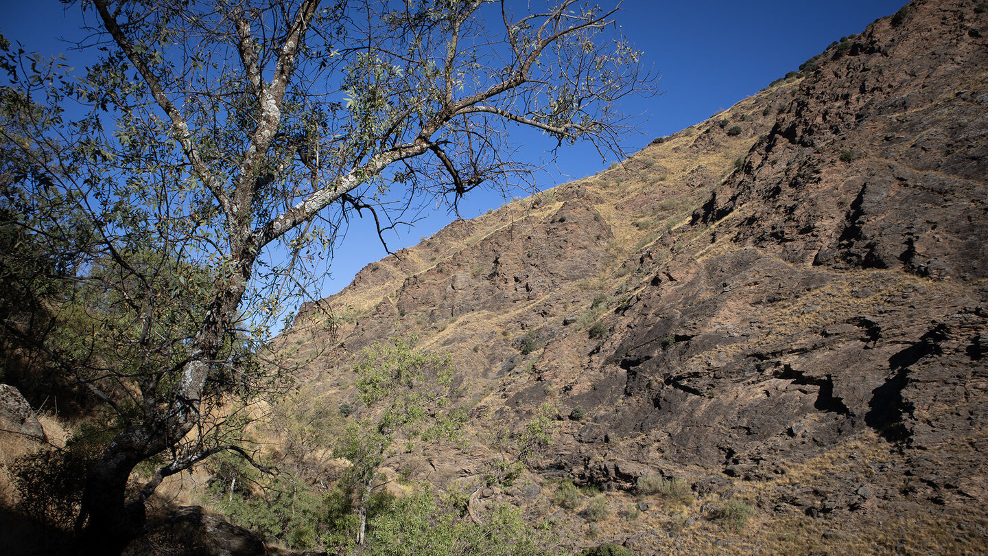 Berghänge in der Schlucht des Río Genil