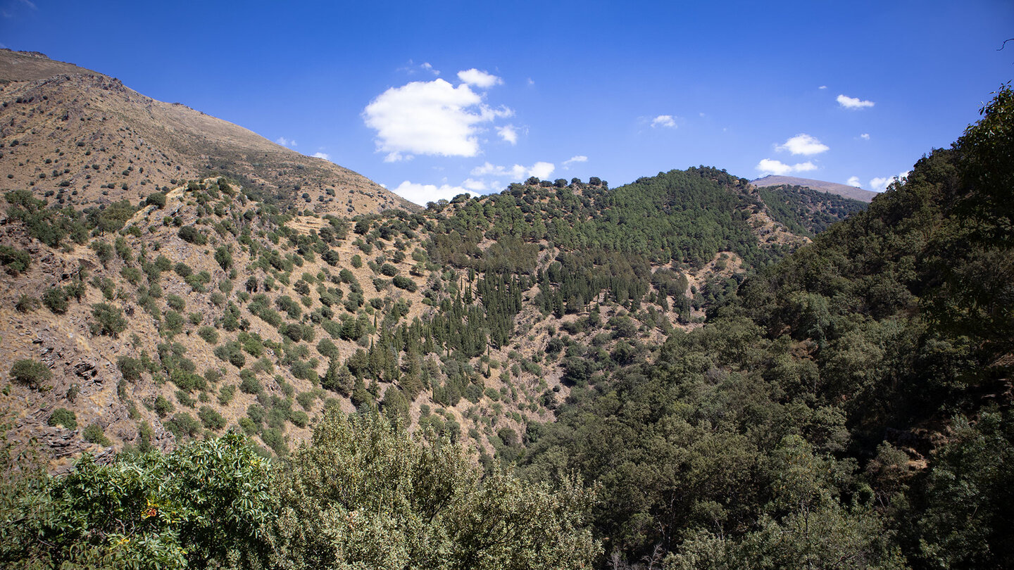 der Sulayr Trail am gegenüberliegenden Bergrücken