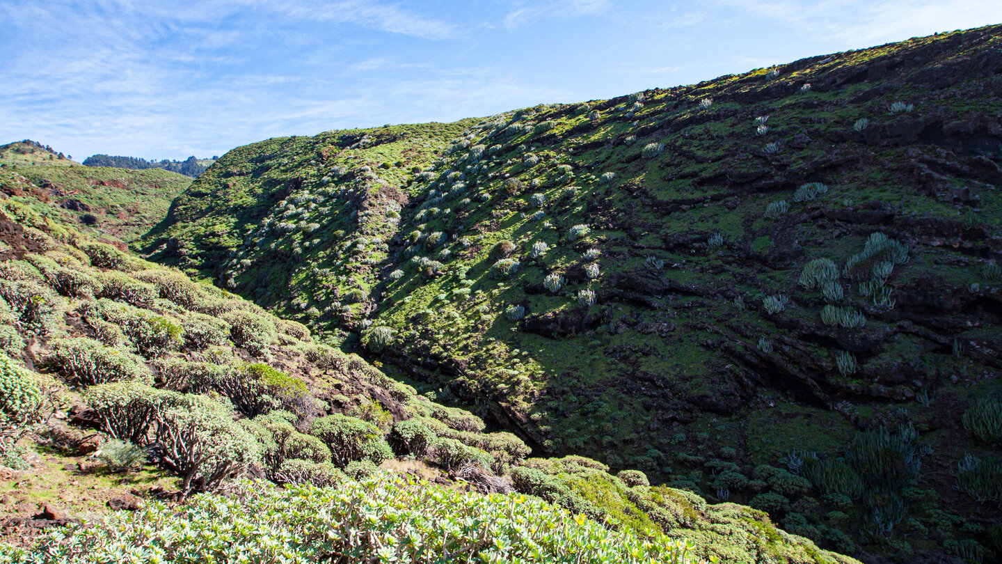 der tiefe Einschnitt des Barrancos de Fernando Porto auf La Palma