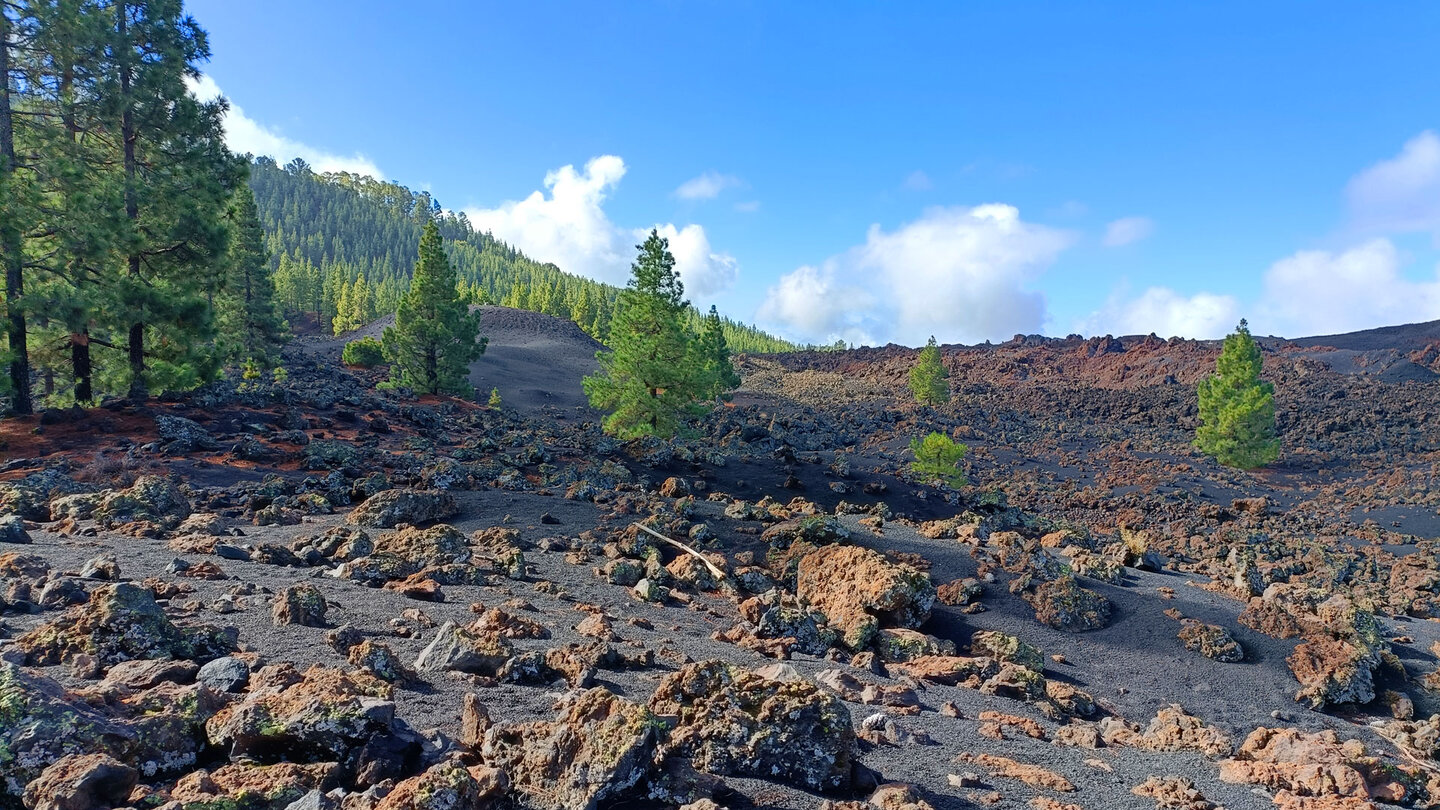 Wanderung durch die Vulkanlandschaft im Naturschutzgebiet Chinyero