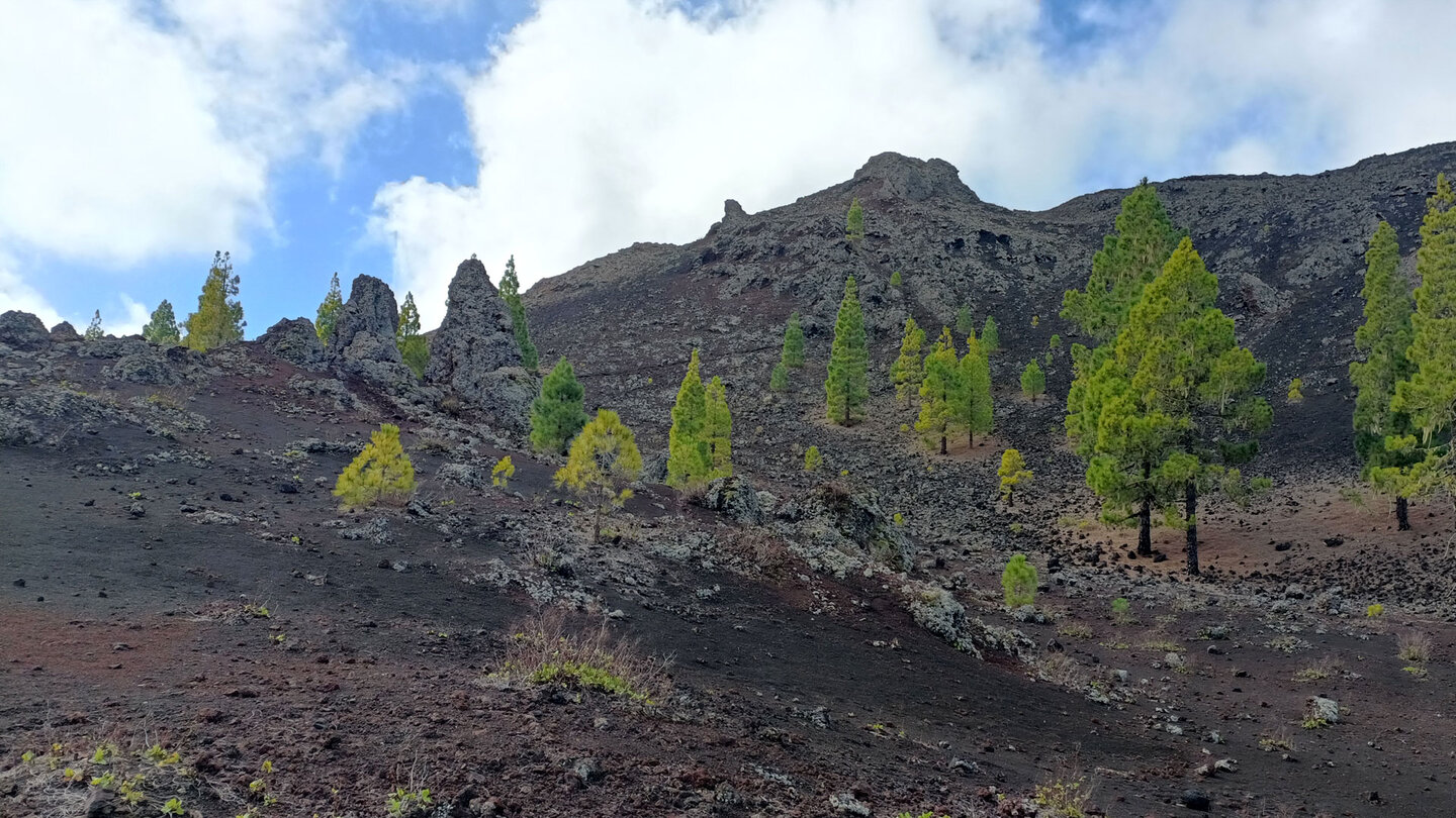 der Wanderweg verläuft durch die raue Lavalandschaft nahe des Montaña Negra