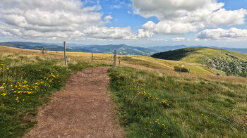 Wanderweg vom Col du Schaeferthal zum Le Hohneck