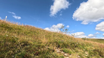 Gindenlandschaft auf dem Hochplateau des Le Hohneck