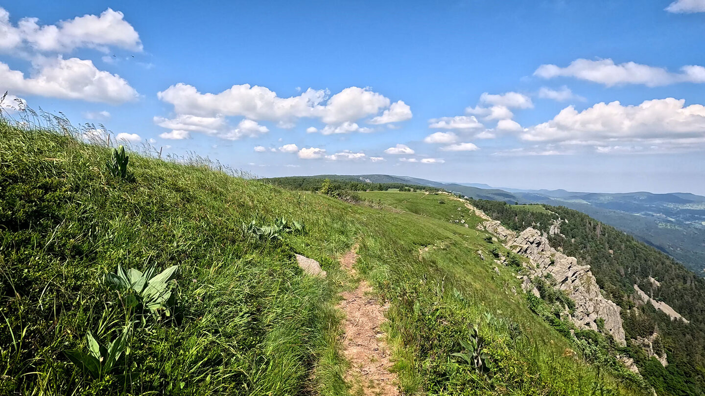 Wanderpfad auf dem Hochplateau Richtung Martinswand