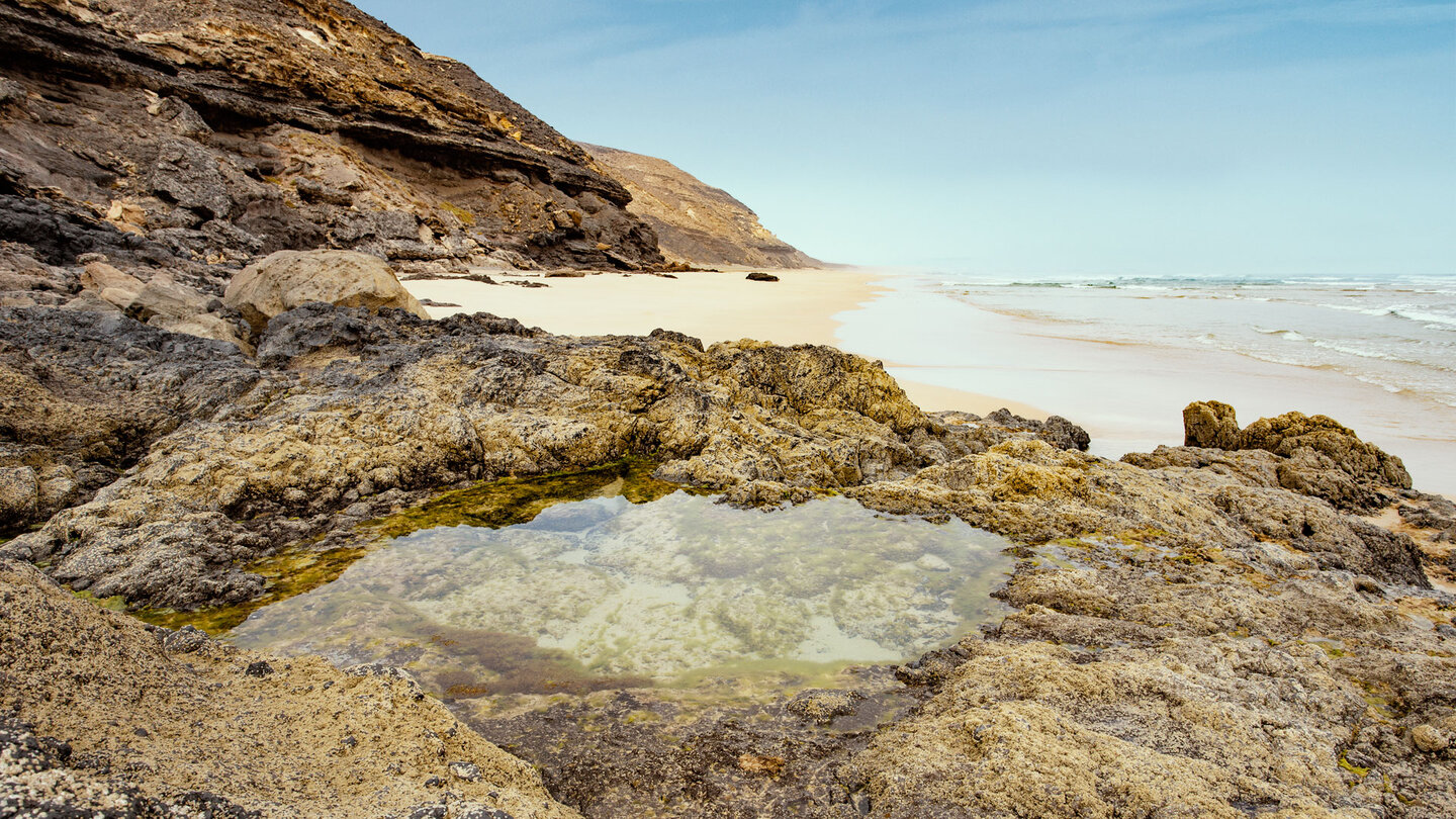 Wasserbecken auf den Felsformationen an der Playa de Barlovento