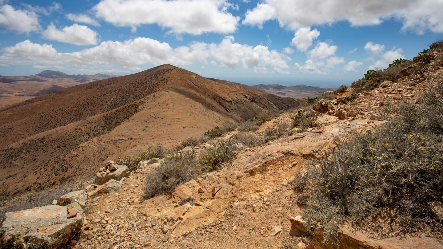 Ausblick zum Morro de los Olivos vom Wanderweg