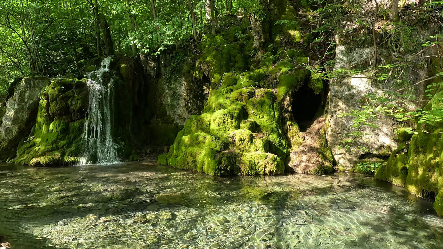 Teich oberhalb des Gütersteiner Wasserfalls