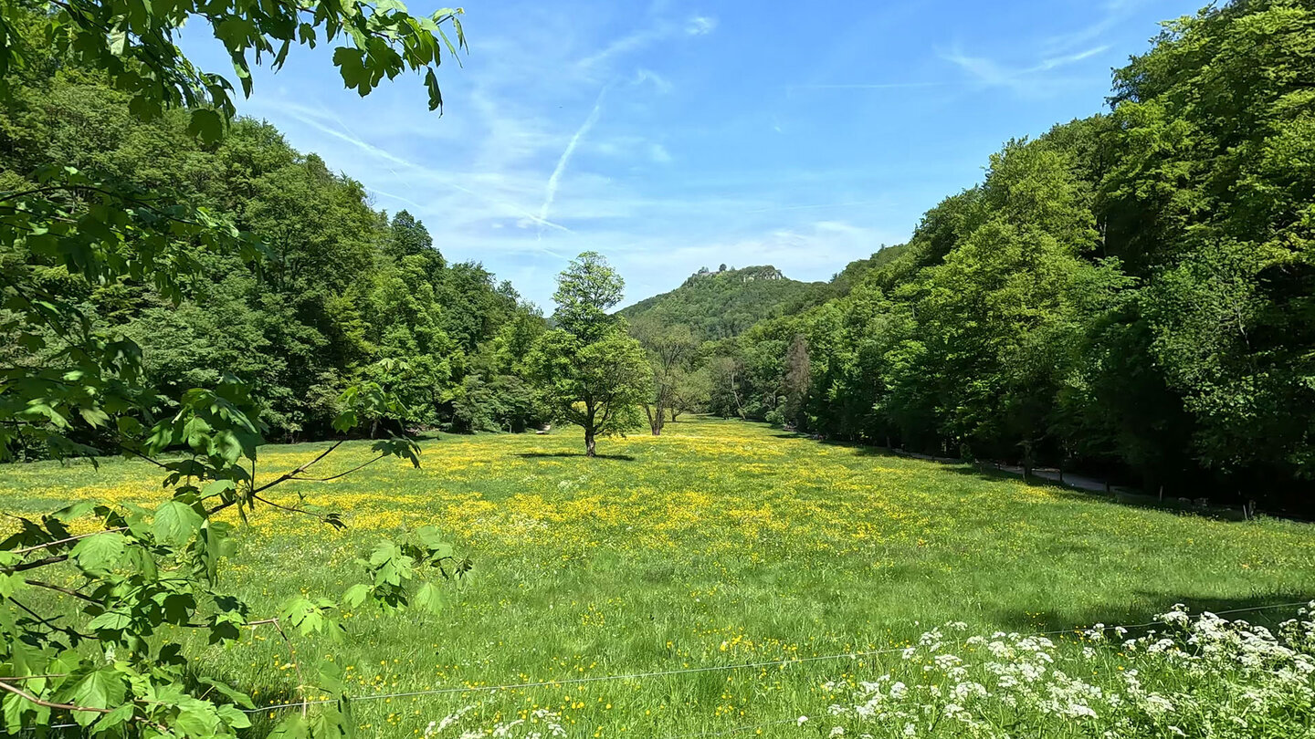 Tal des Brühlbaches mit der Burg Hohenurach