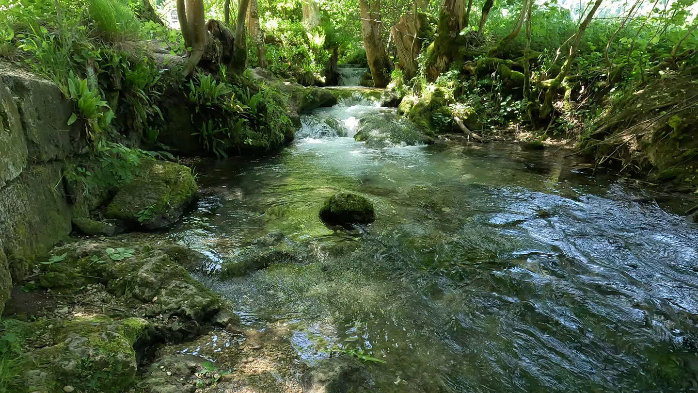 der Brühlbach unterhalb des Uracher Wasserfalls