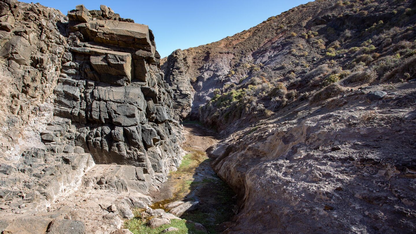 Austrittsstellen von Quellen in einer Schlucht am Wanderweg