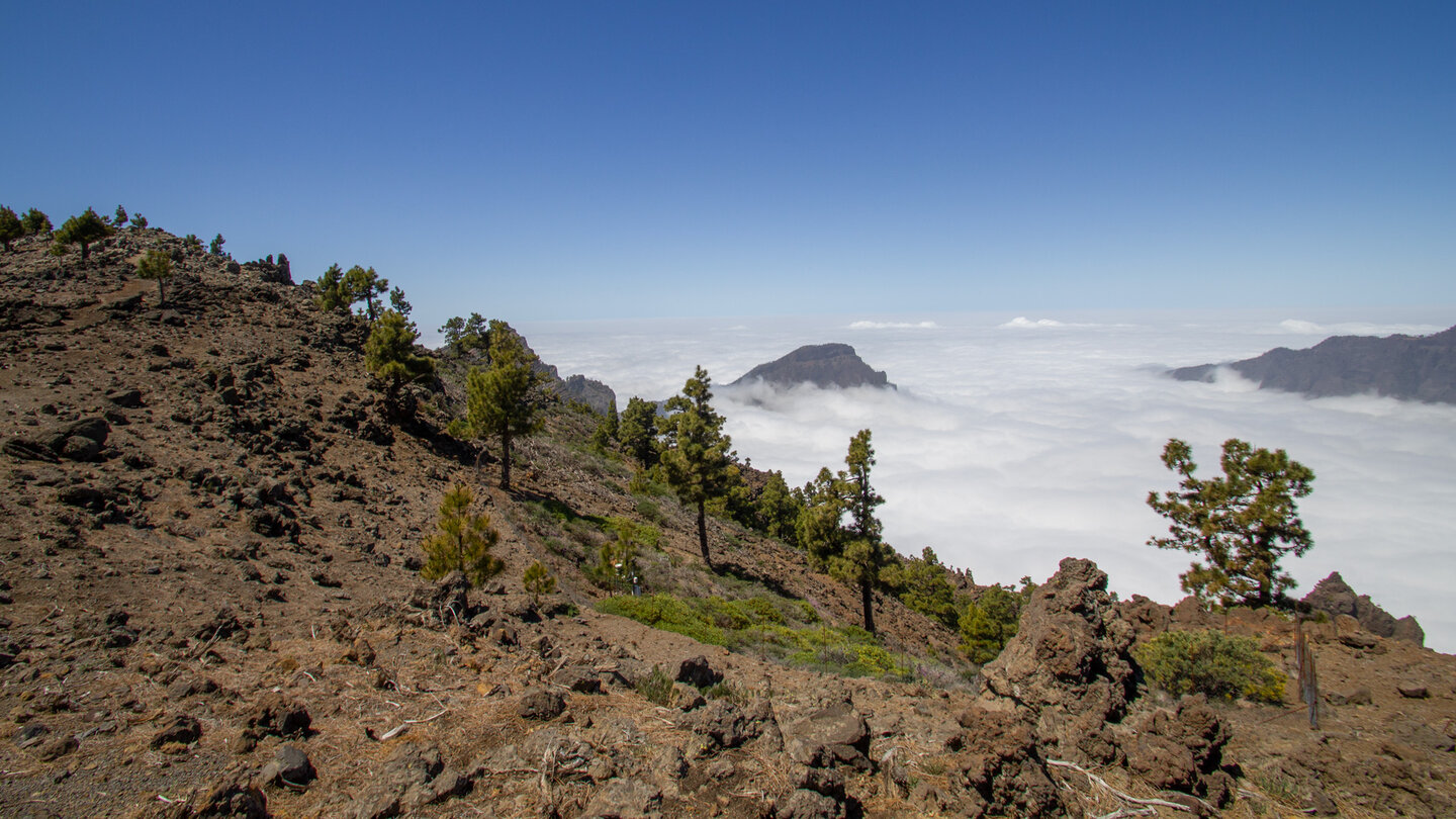 Wandern über dem endlosen Wolkenmeer