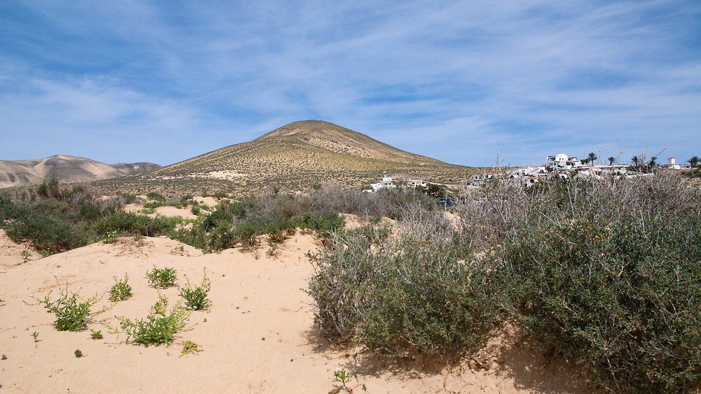 Blick auf die Dünenlandschaft mit Surfschule an der Playa Risco del Paso