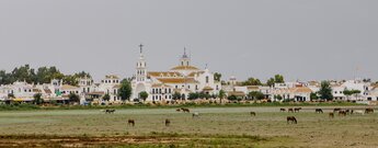 Wallfahrtsort El Rocío in Andalusien