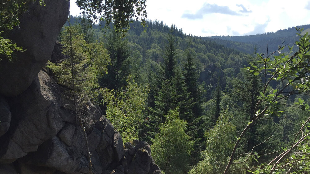 Aussicht bei den Eulenstein Felsen