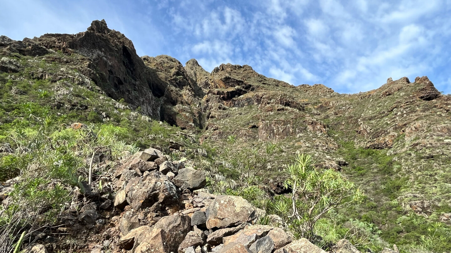 Wanderung über den Risco Steig nach Teno Alto