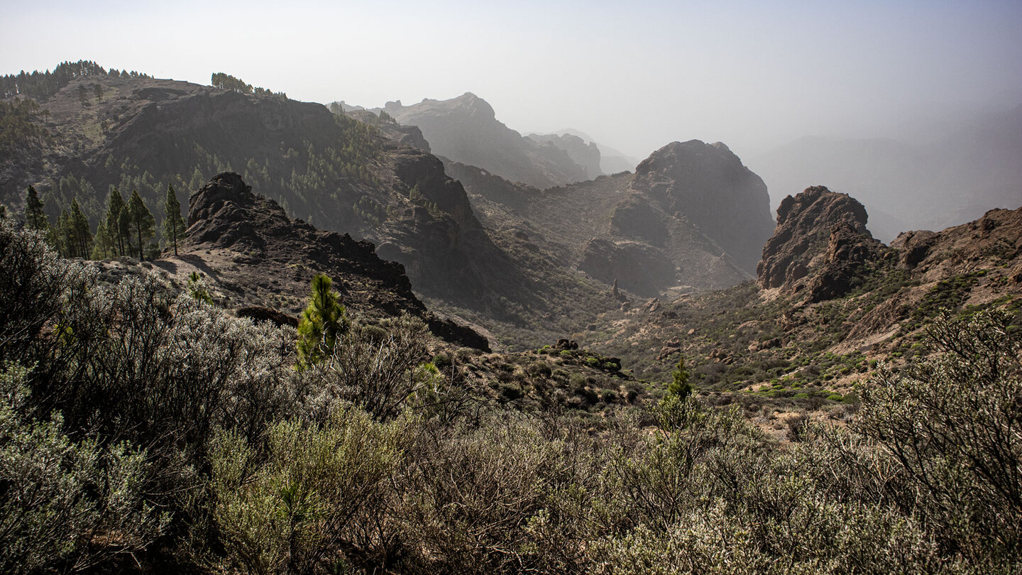 Blick ins Barranco de Meca