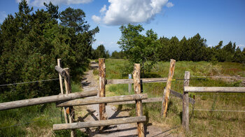 Viehgatter am Wanderweg