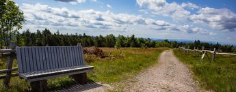 der Murgleiter-Wanderweg am Schliffkopf