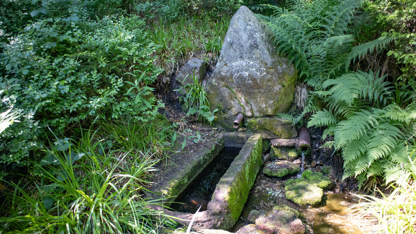 der Schatzbrunnen liegt abseits des Wanderwegs