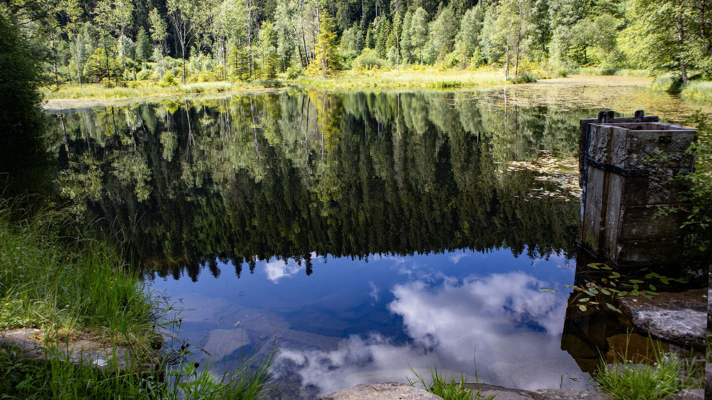 Blick über den Ellbachsee