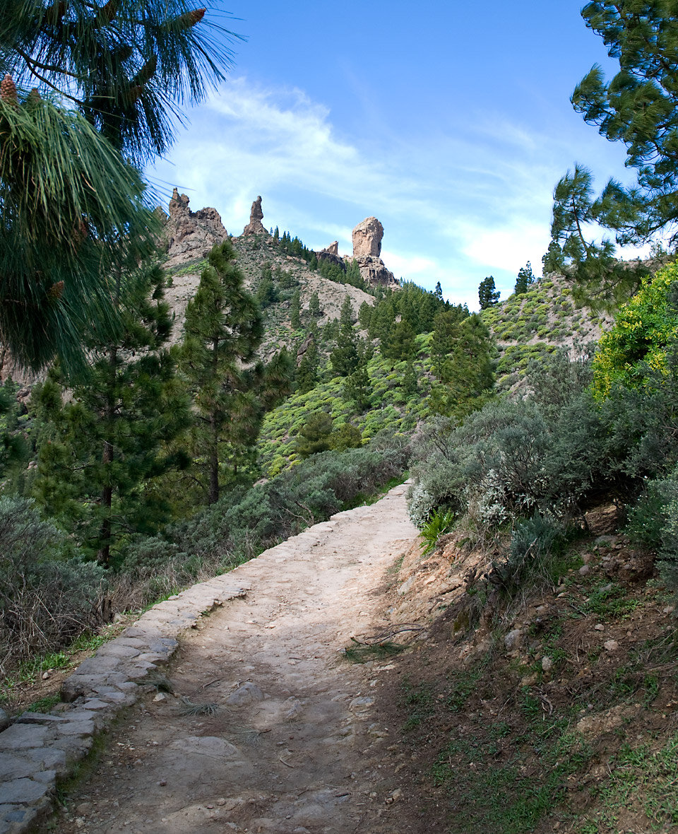 Wanderweg zum Roque Nublo auf Gran Canaria