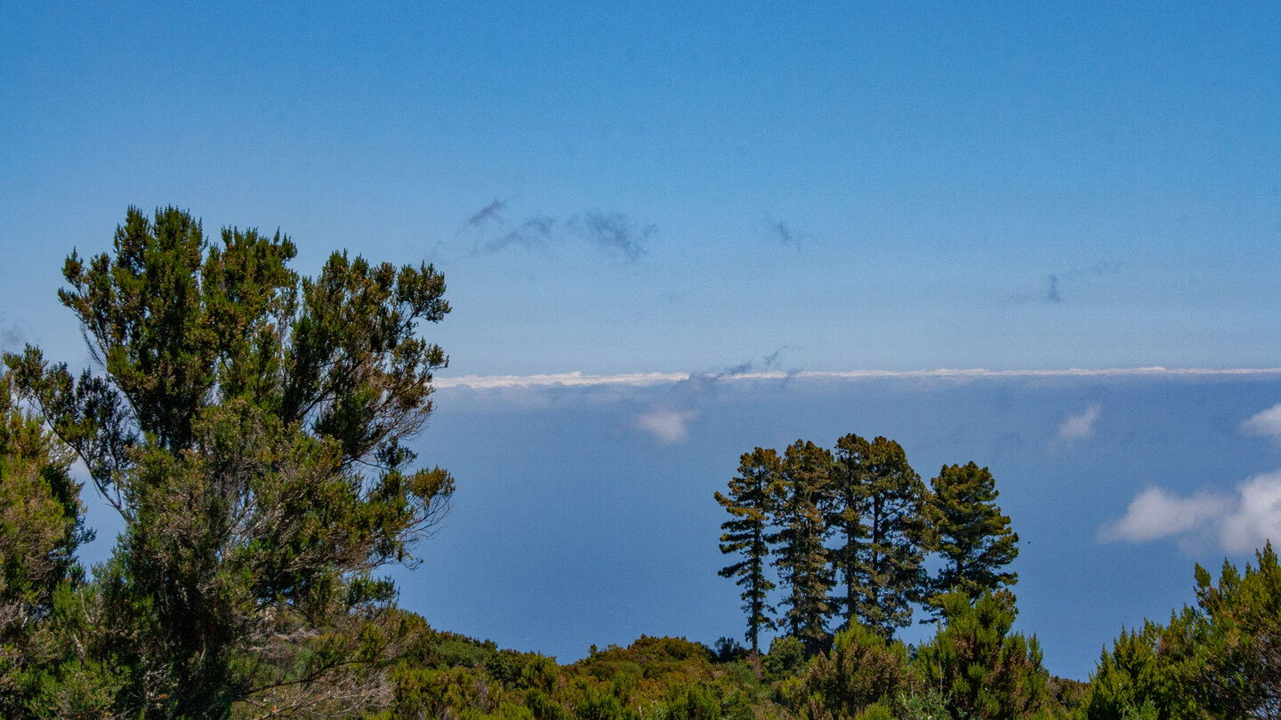 Ausblick aufs tiefblaue Meer mit einer Wolkenline am Horizont