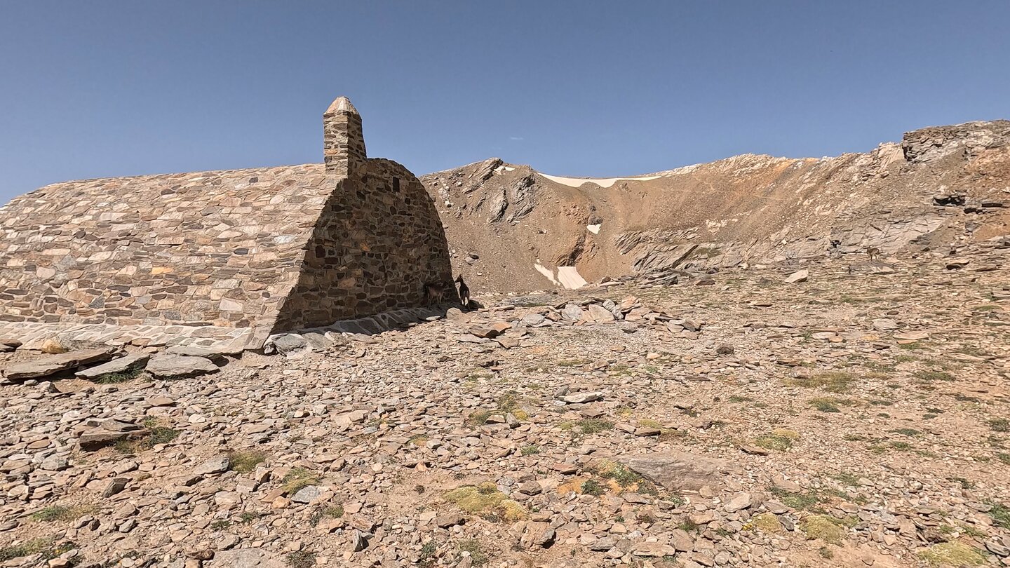 Steinböcke am Refugio Vivac de la Caldera