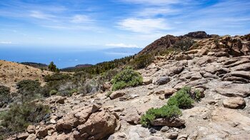 Cumbres de Ucanca liegt am Rand der Caldera des Teides