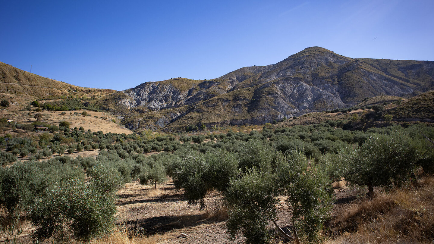 Cerro del Sanatorio bei Monachil