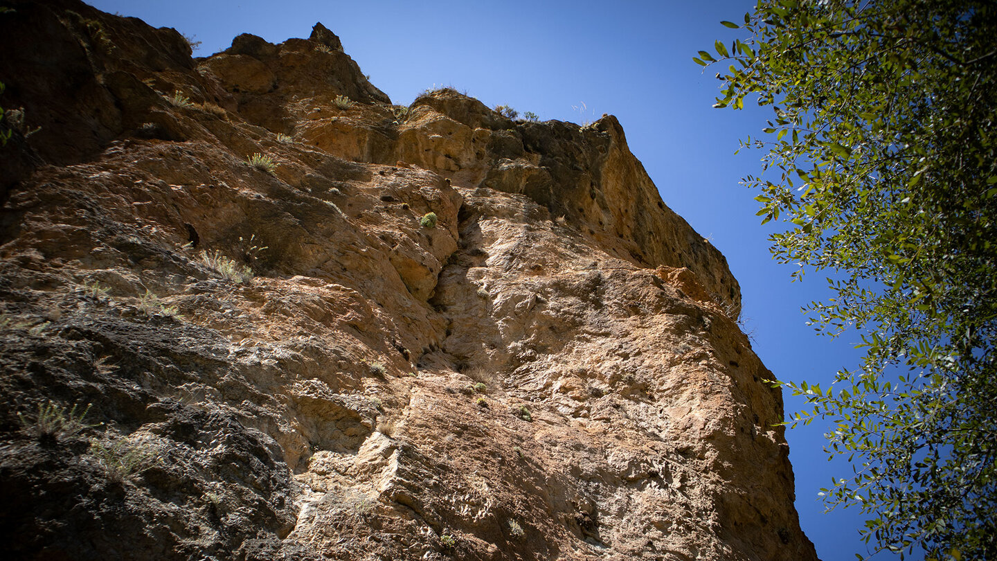 Felswand in der Monachil-Schlucht